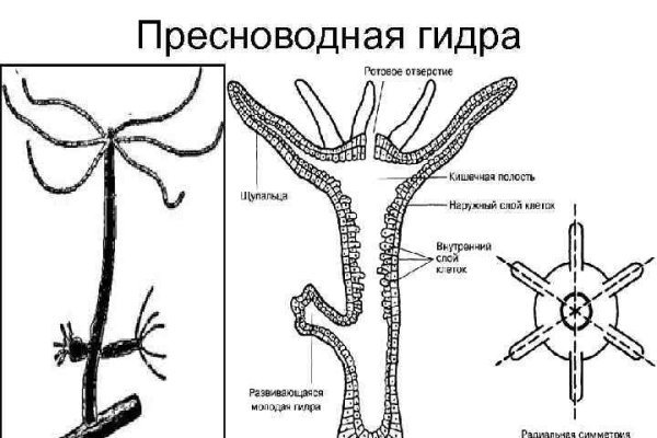 Оригинальные ссылки кракена